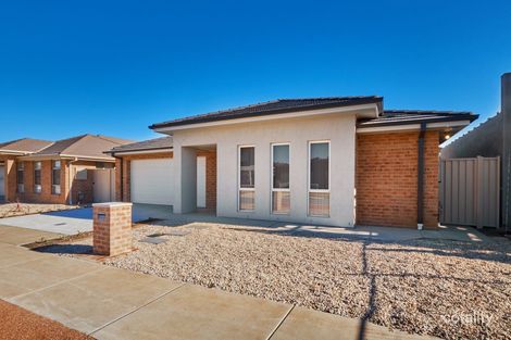 11 Chuditch St, Throsby, ACT 2914