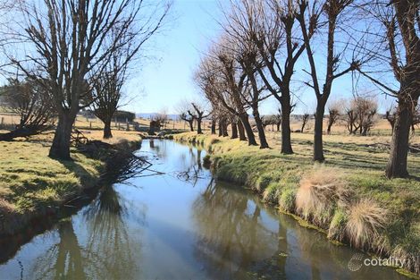 Property photo of 243 Bellevue Road Tenterfield NSW 2372