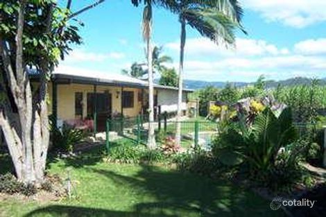 Property photo of 35 Melaleuca Drive Cooya Beach QLD 4873