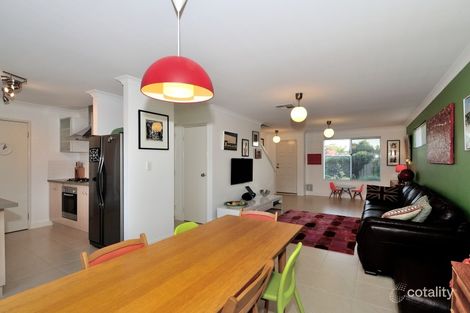 31d Campion Ave, Balcatta, WA 6021