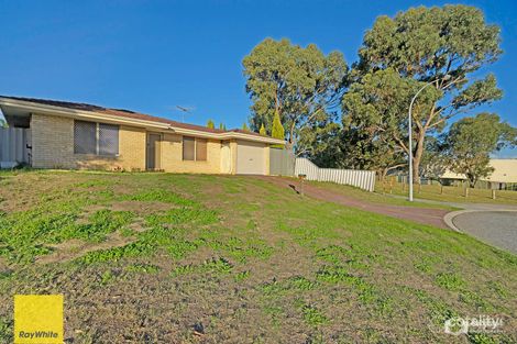 Property photo of 29 Firethorn Retreat Mirrabooka WA 6061