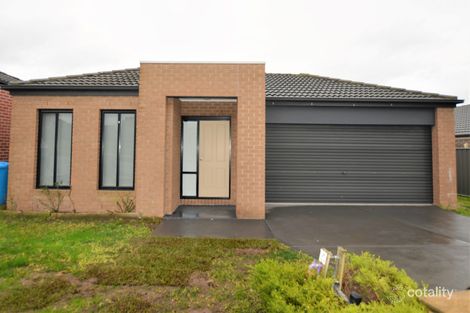 Property photo of 20 Nurture Avenue Cranbourne North VIC 3977