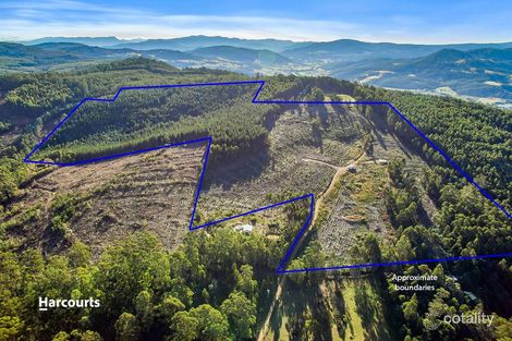 436 Maxfields Rd, Franklin, TAS 7113