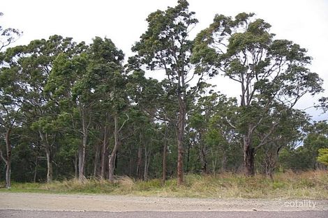 7 Bula St, Charlestown, NSW 2290