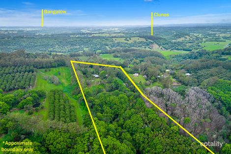 Property photo of 259 Arthur Road Corndale NSW 2480