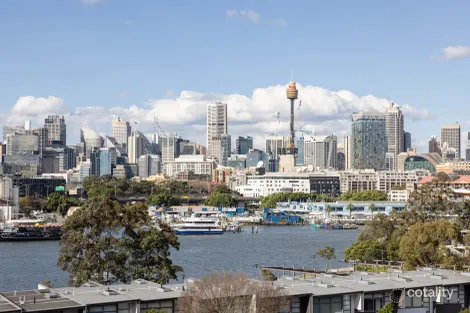 17/20-24 Sheehy St, Glebe, NSW 2037