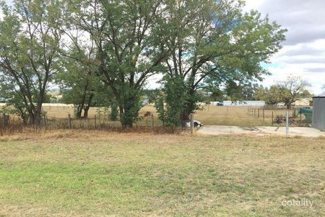Property photo of 13 Thomas Street Moonbi NSW 2353