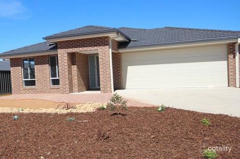 1 Bursaria St, Jackass Flat, VIC 3556