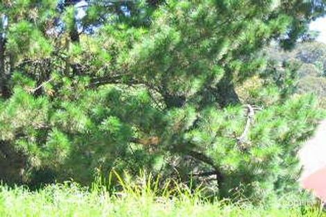 59b Leura Mall, Leura, NSW 2780