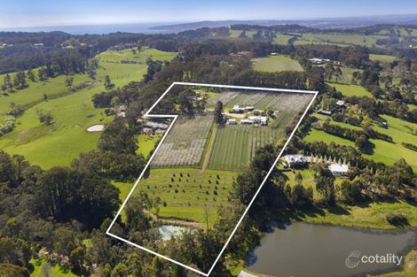 61 Prossors Lane, Red Hill, VIC 3937