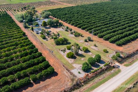 Property photo of 214 McDonald Road Bilbul NSW 2680