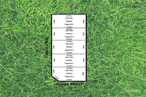 Property photo of 25 Deakin Street Blair Athol SA 5084