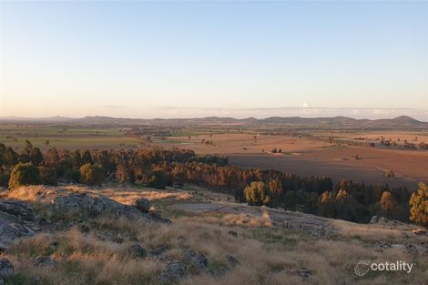 289 Wattle Hills Rd, The Rock, NSW 2655