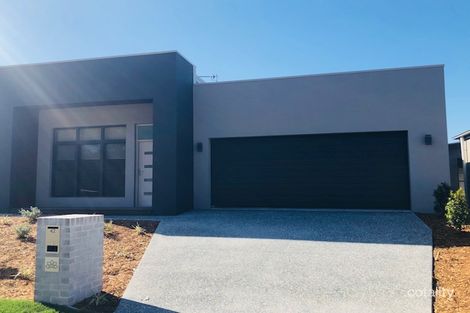 42 Rivina Cct, Coomera, QLD 4209