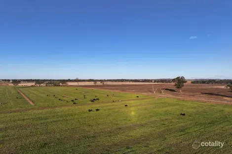 96 Murdoch Rd, Fairy Dell, VIC 3561