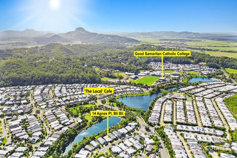 Property photo of 14 Agnes Place Bli Bli QLD 4560