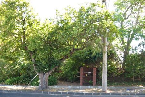 Property photo of 16 Mitchell Road Caulfield North VIC 3161