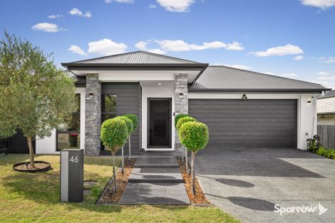 Property photo of 46 Discovery Boulevard Bahrs Scrub QLD 4207