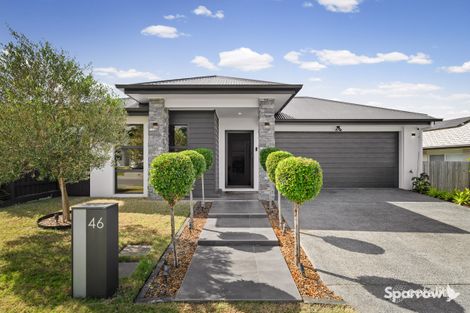Property photo of 46 Discovery Boulevard Bahrs Scrub QLD 4207