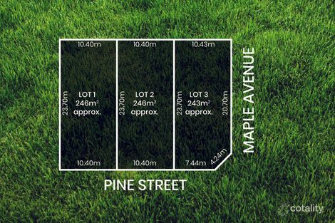 Property photo of 1 Pine Street Royal Park SA 5014