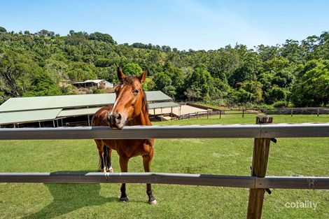 Property photo of 7 Nathan Valley Road Mount Nathan QLD 4211