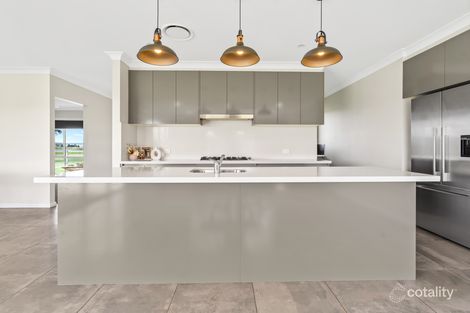 Property photo of 601 Glendon Road Roughit NSW 2330