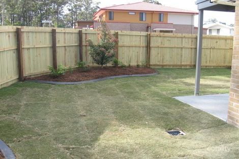 Property photo of 31 Lisa Crescent Coomera QLD 4209