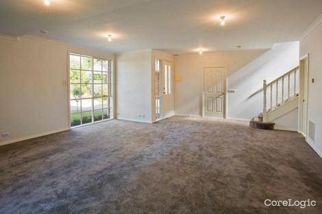 Property photo of 1/3 Sargon Grove Brighton VIC 3186