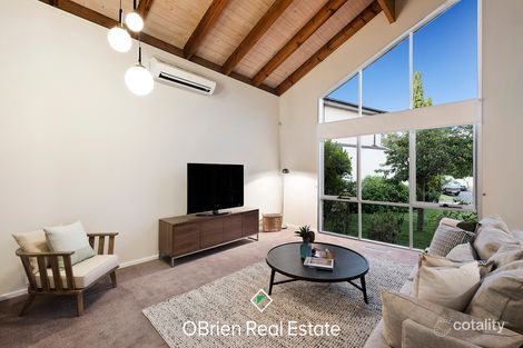 Property photo of 3 Helen Court Cheltenham VIC 3192