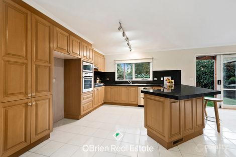 Property photo of 3 Helen Court Cheltenham VIC 3192