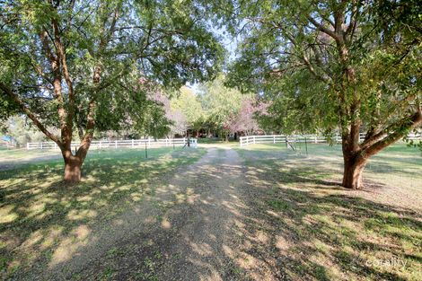 Property photo of 10 Norman Duck Avenue San Isidore NSW 2650