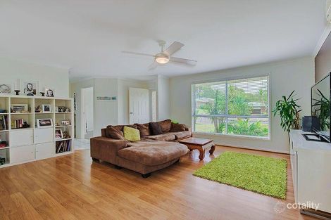 Property photo of 14 Carruthers Court Cooroy QLD 4563