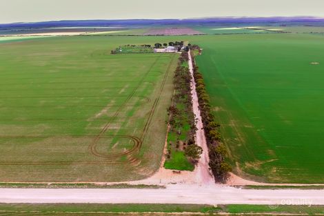 Property photo of 528 Kybunga Top Road Kybunga SA 5453