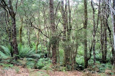 Property photo of 317 Ten Foot Track Preolenna TAS 7325