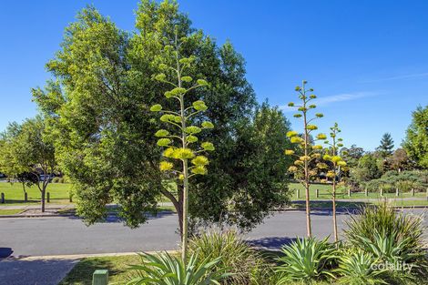 Property photo of 40 Lawley Crescent Pacific Pines QLD 4211