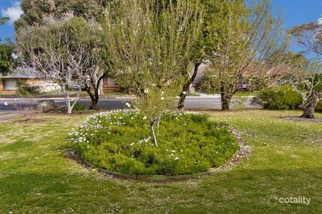 Property photo of 56 Suzanne Avenue Morphett Vale SA 5162