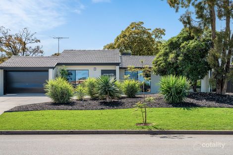 20 Yurlondi Dr, Surrey Downs, SA 5126