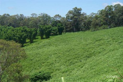 Property photo of 40 Simpsons Road Cootharaba QLD 4565