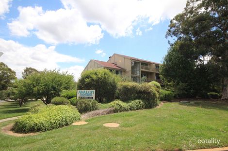 15/53 Mcmillan Cres, Griffith, ACT 2603