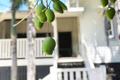 Property photo of 216 McManus Street Whitfield QLD 4870