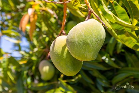 Property photo of 9B Wickling Drive Beckenham WA 6107