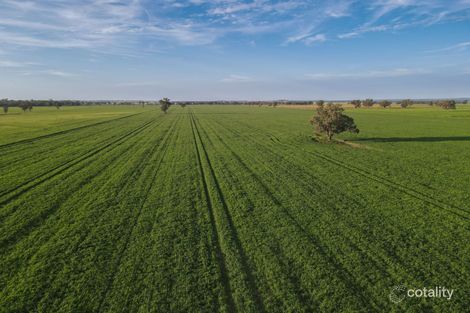 11025 The Escort Way, Forbes, NSW 2871