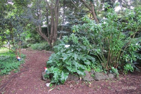 Property photo of 9 Campbell Street Tecoma VIC 3160