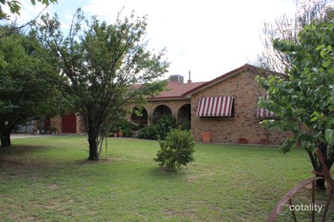 100 Melrose Estate Rd, Warialda, NSW 2402