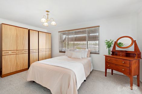 Property photo of 53 Tirrabella Street Carina Heights QLD 4152