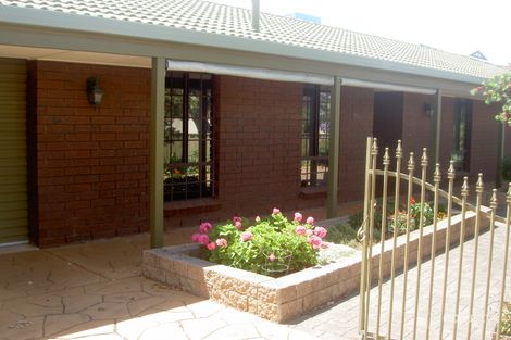 Property photo of 15 Sturt Road Brighton SA 5048