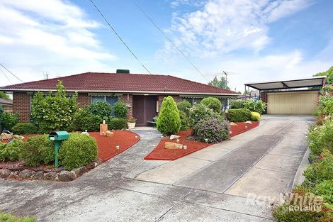 Property photo of 7 Lambruk Court Yallambie VIC 3085