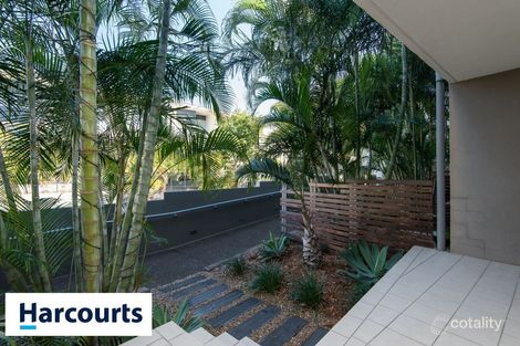 Property photo of 3/18 Ferry Lane Bulimba QLD 4171