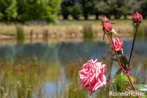 1195 Bacchus Marsh Rd, Bullengarook, VIC 3437