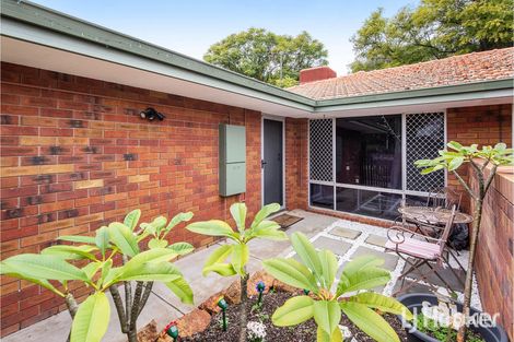 Property photo of 6A Brumby Place Armadale WA 6112
